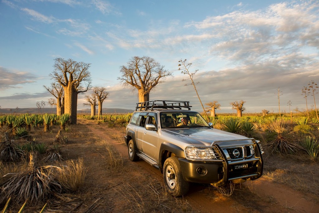 Drive through the baobab trees at Mandrare River Camp