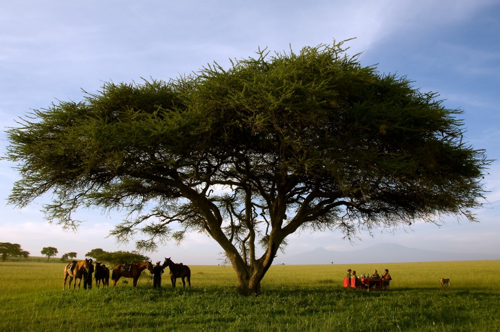 Ol Donyo Riding Tea Break Kenya Great Plains Conservation