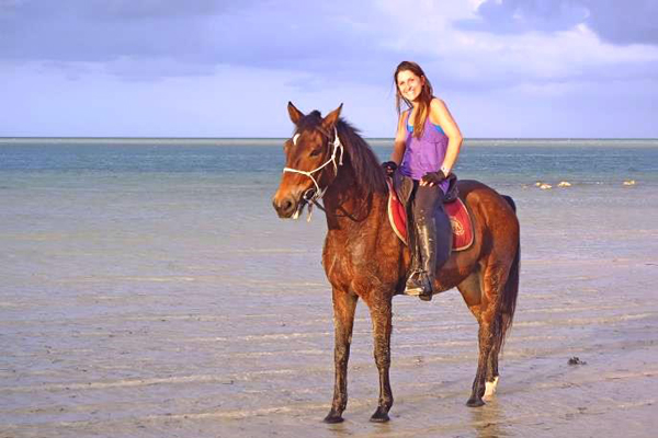 'Life's a beach', safari horse Brutus, Mozambique Horse Safaris, Mozambique