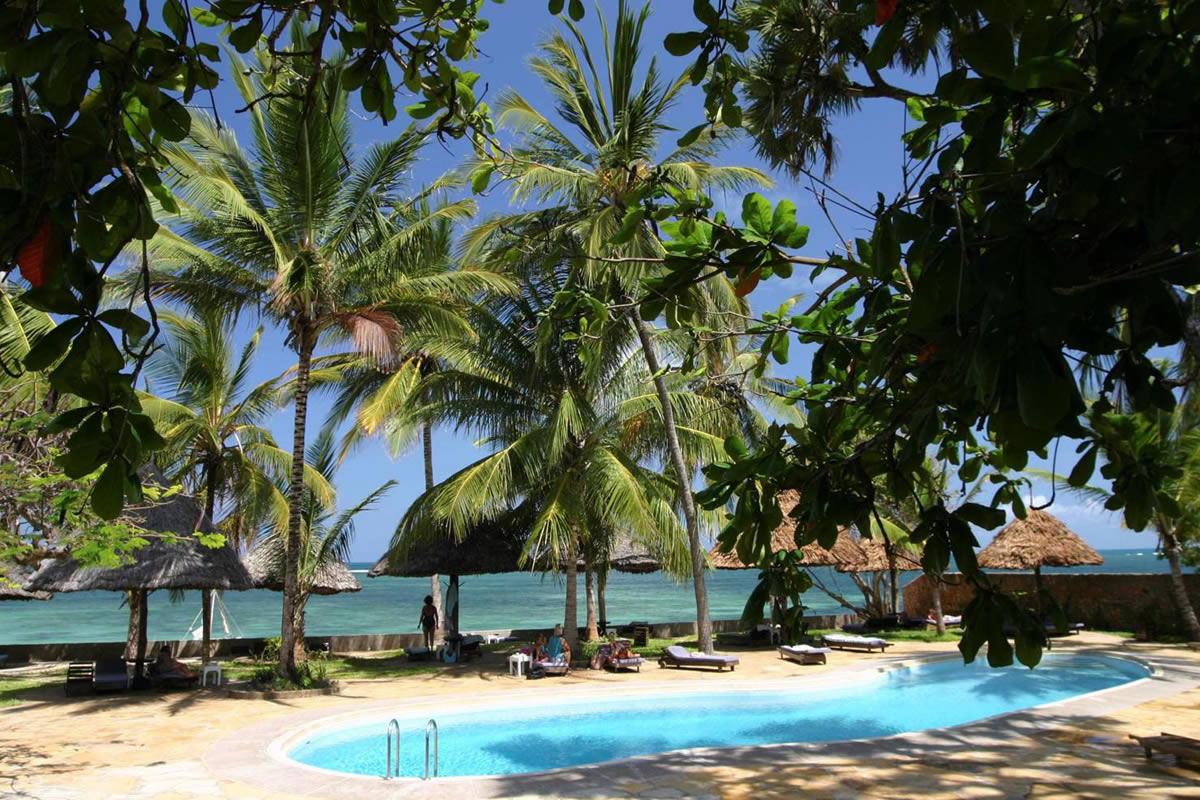 Driftwood hotel beach and pool fringed by palms