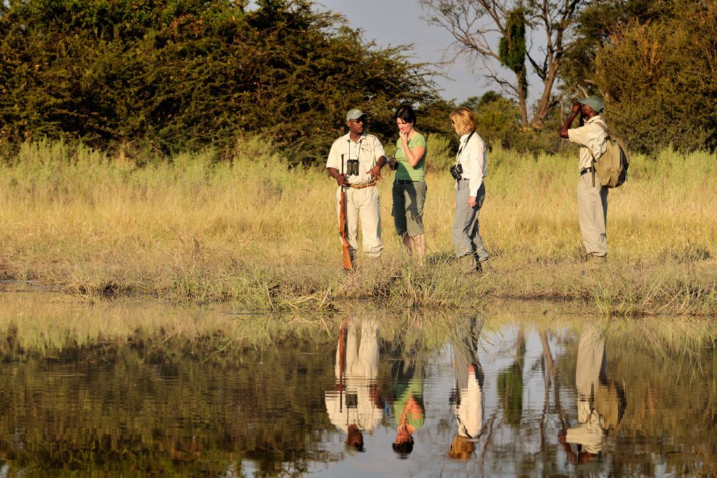 Walking safaris with Footsteps Across the Delta 