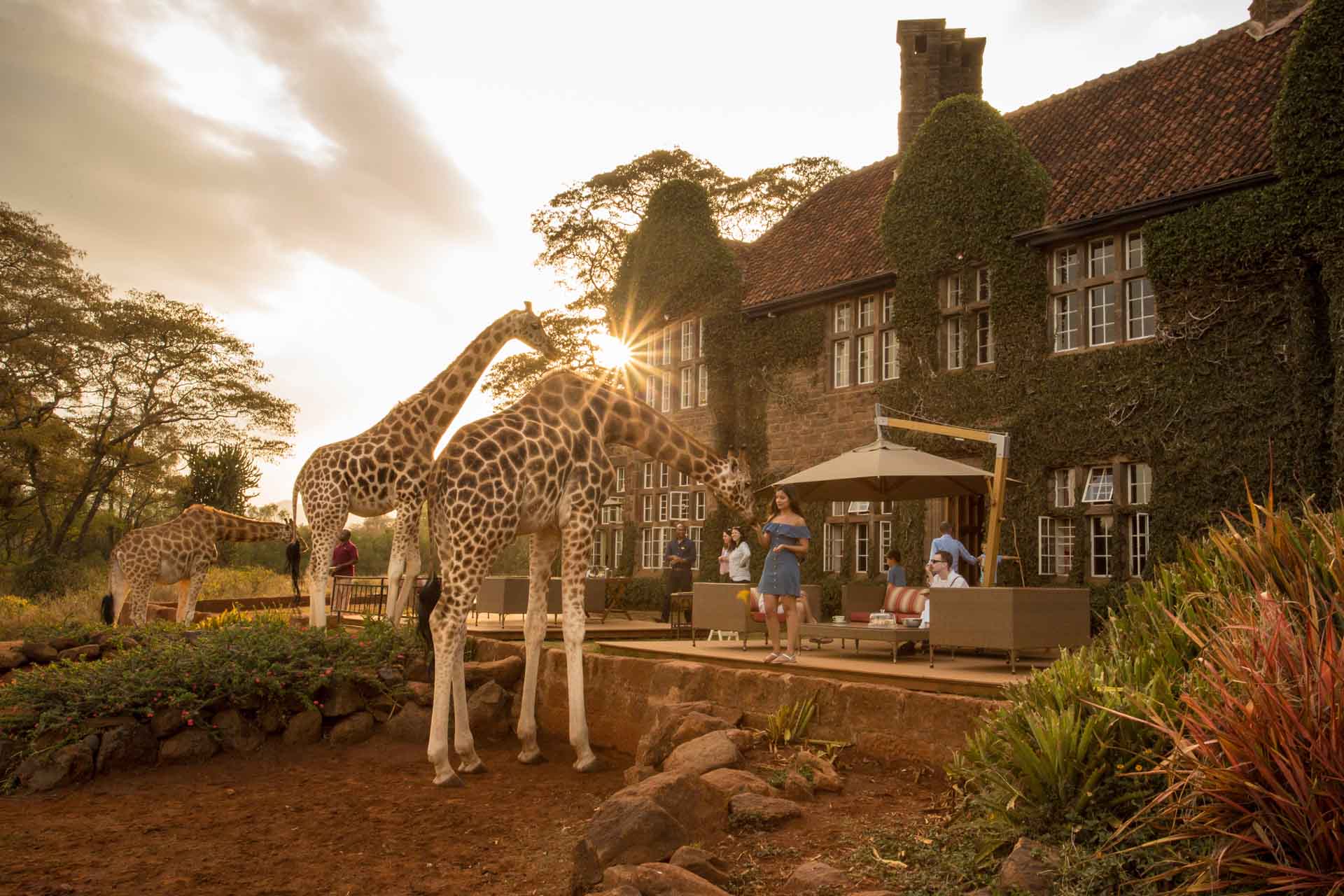 giraffe manor safari package