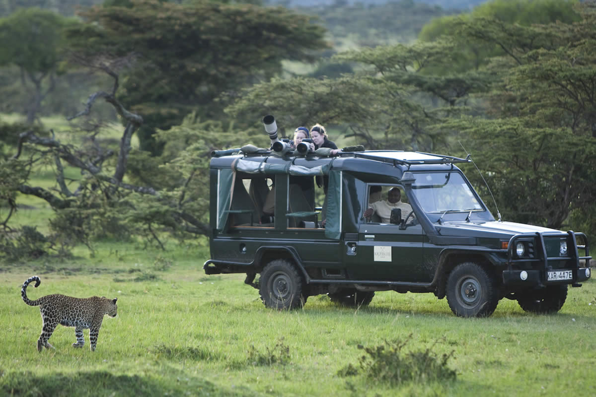 Photography holidays - Kicheche safari drive
