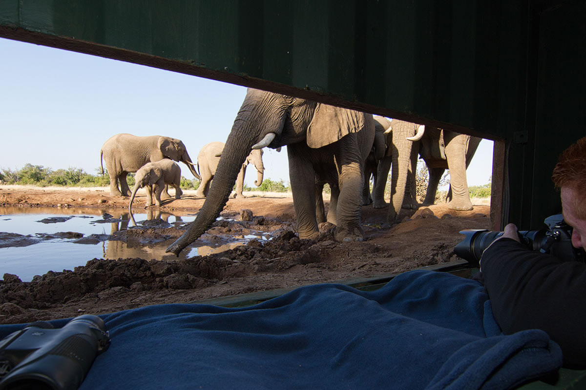 Elephants and photographer at the C4 Images hide at Mashatu waterhole