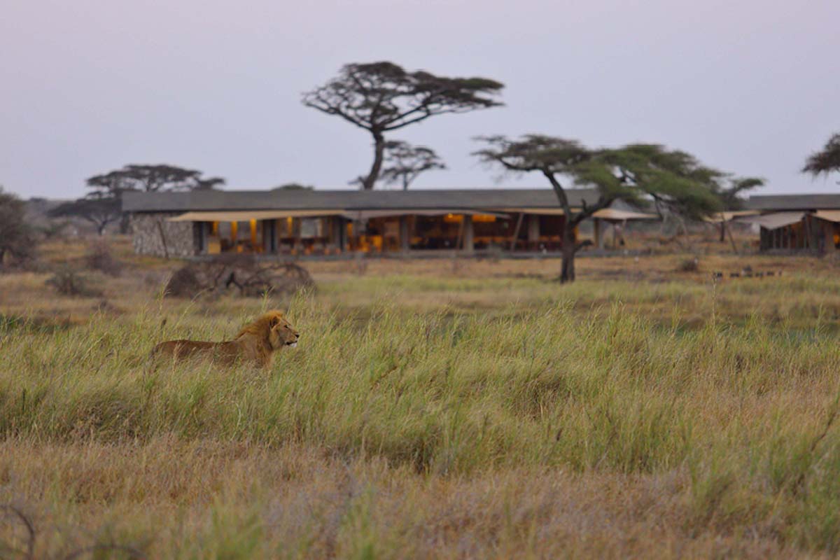 Namiri Plains setting in the Serengeti