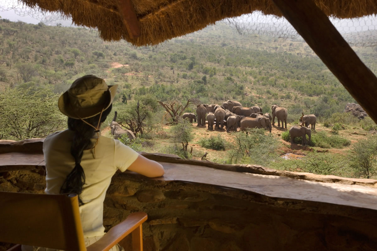 Viewing elephants at Ol Malo, Kenya