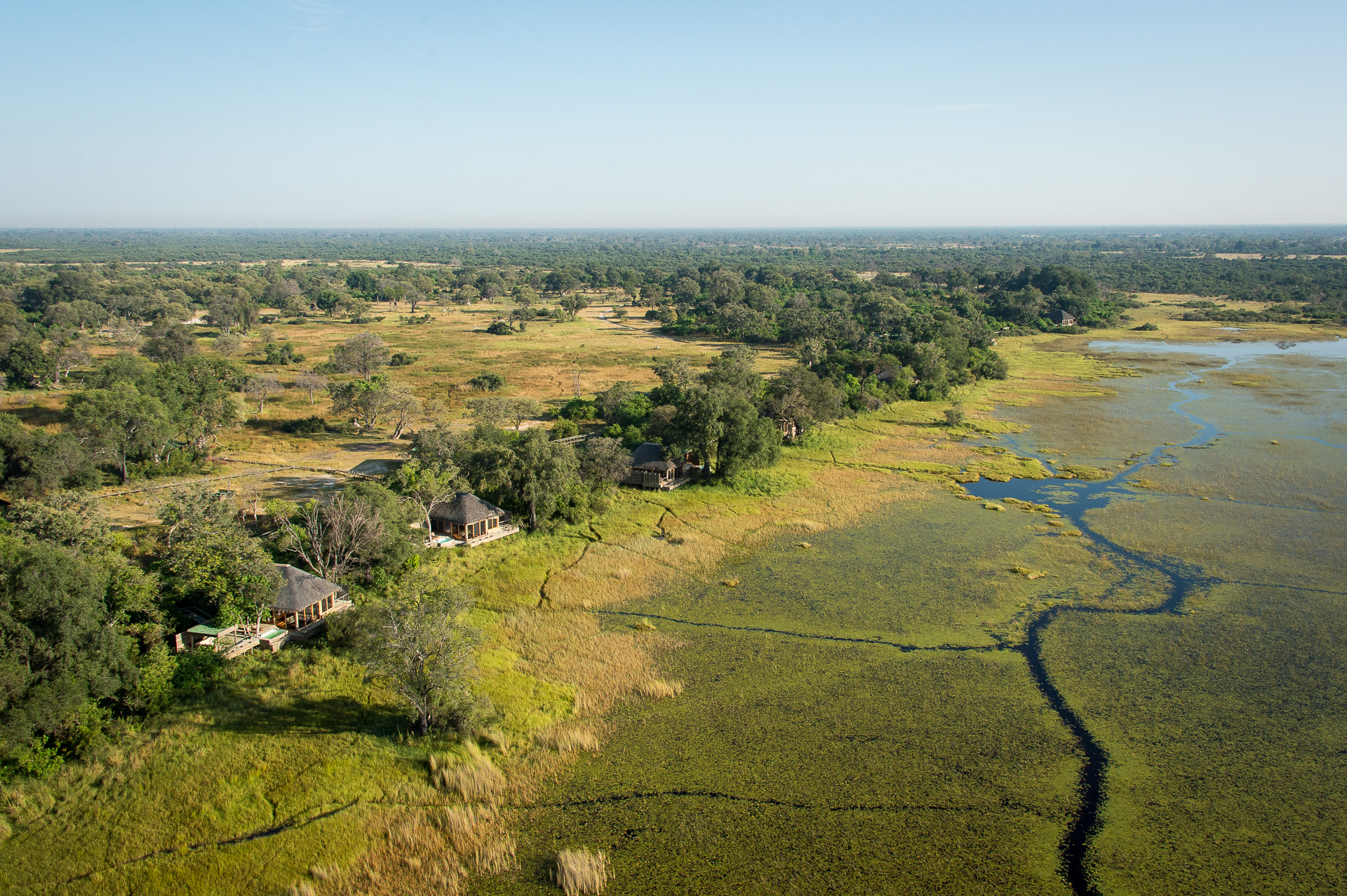 okavango wilderness safaris