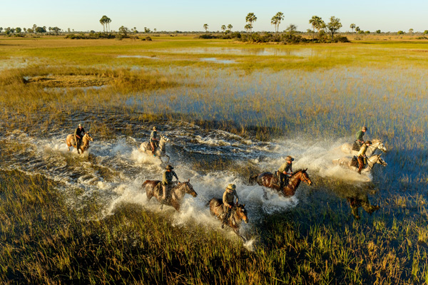 aardvark safaris facts African Horseback Safaris, Okavango Delta, Botswana