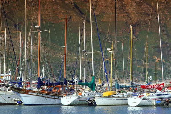 Hout bay yachts in harbour Cape © Explore + Escape