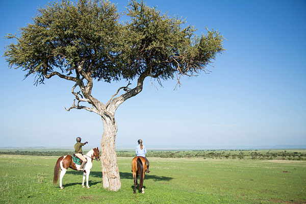 Horse riding with guide in the Masai Mara, Kenya Great Plains Conservation