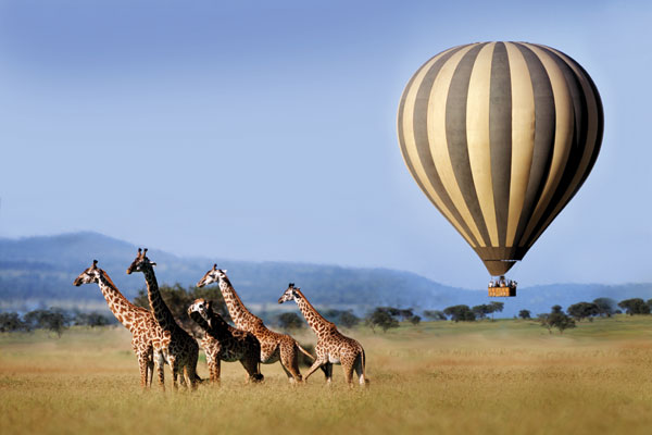 Singita Balloon over giraffes