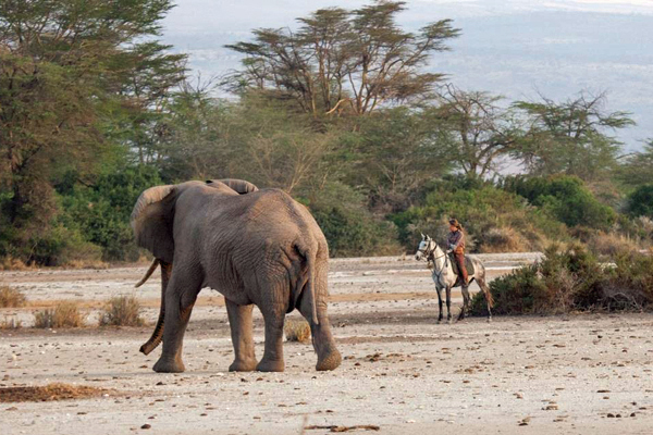 Elephant and riding safari guide Joanna Westermark Kaskazi Horse Safaris Tanzania