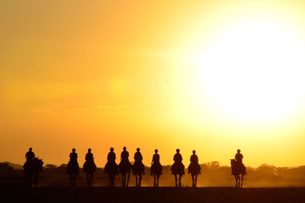 Trail rides Kaskazi riding through sunset silhouette of group riders