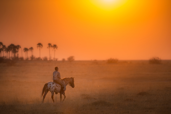 Ride Botswana solo rider at sunset credit Dean James Fitzpatrick