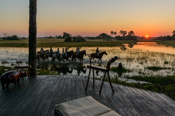 Riders at sunset wading through the Okavango Delta, Botswana, African Horseback Safaris