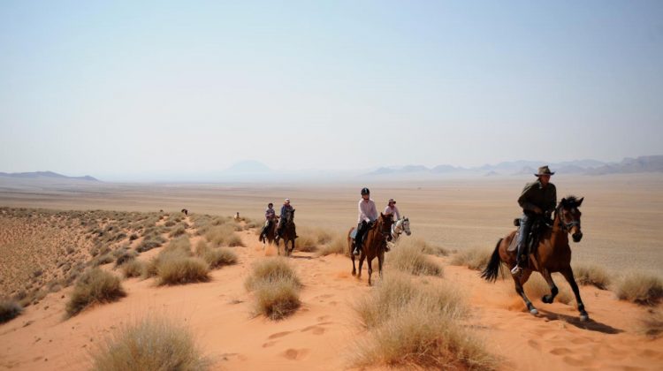 Image result for Ride the Namib