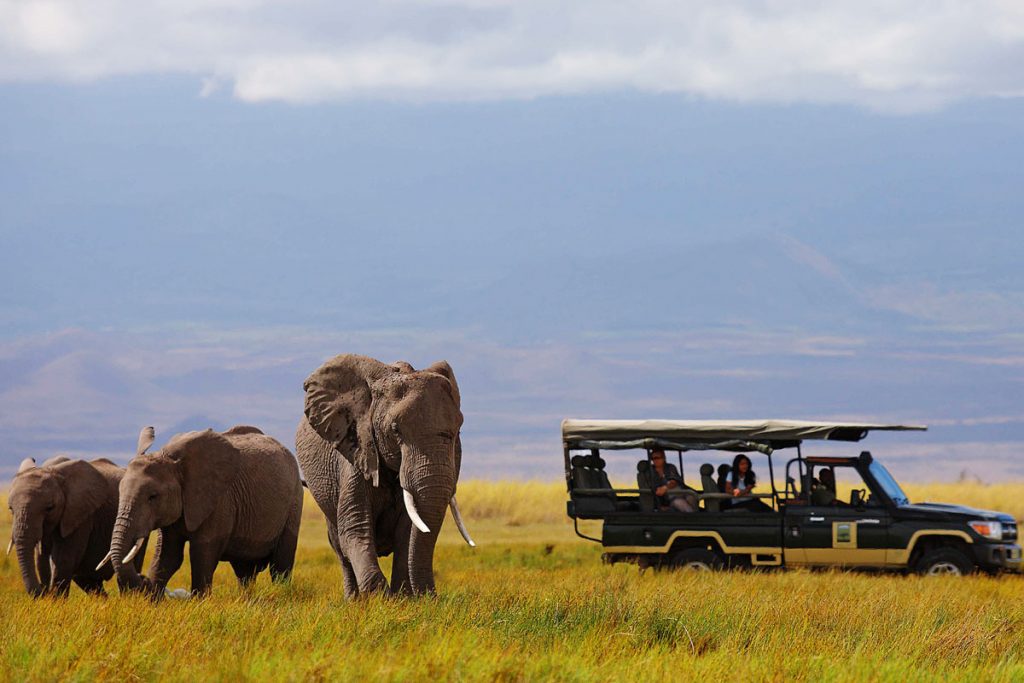 Three elephants on a safari drive at Tortilis Camp, Kenya