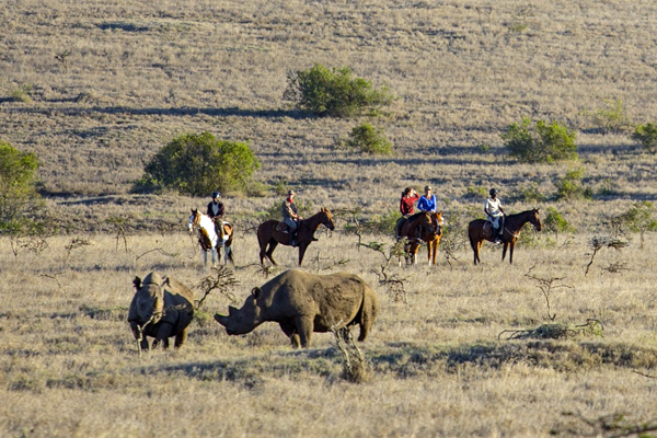 Group riding with rhinos at Borana