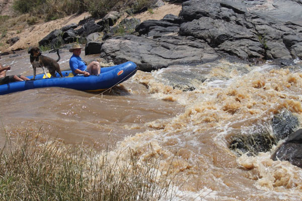 laikipia wilderness rafting with dog