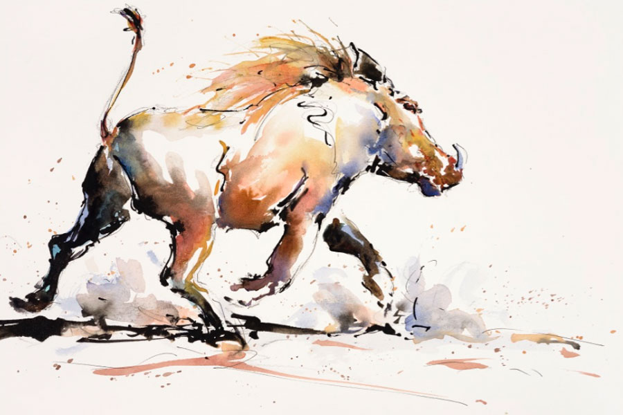 Warthog fine art painting in water colour