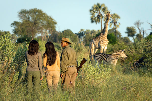 Seba Camp, Okavango Delta, Botswana, Wilderness Safaris