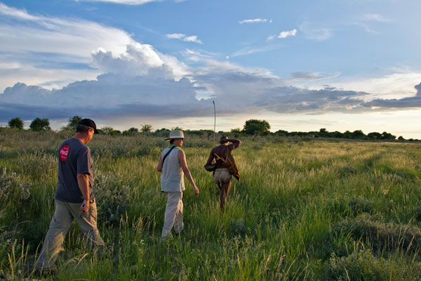 Kalahari Plains Camp, Kalahari, Botswana, Uncharted Africa