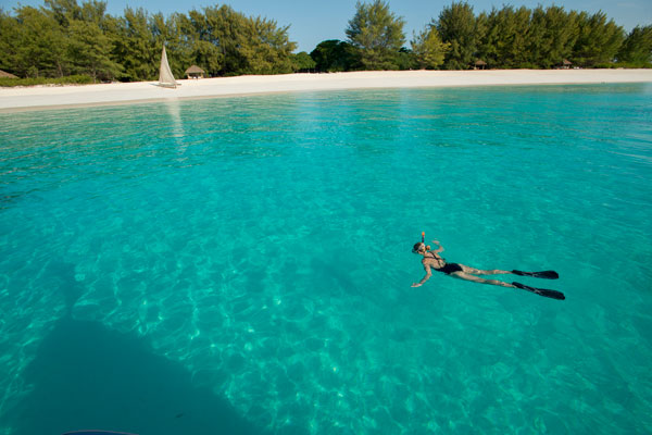 Snorkelling of Mnemba Island, Zanzibar