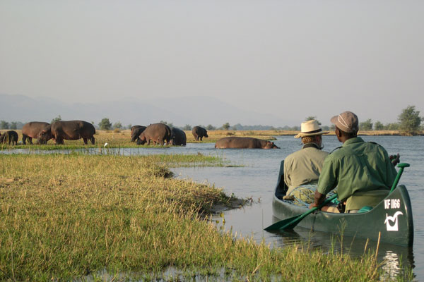 Canoe safari on the Zambezi River, Mana Shoreline Canoe