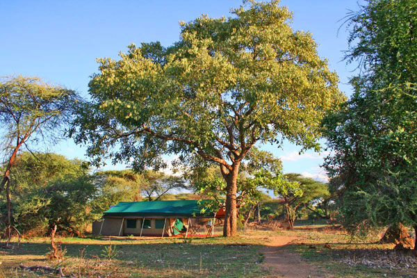  Mdonya Old River Camp