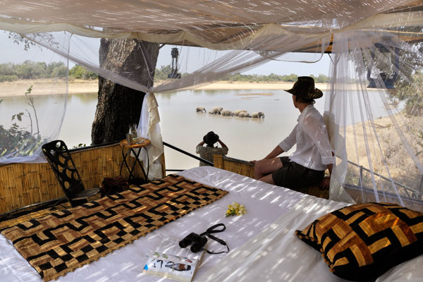 safari experts on best hides; Hide at Kaingo Camp, South Luangwa, Zambia