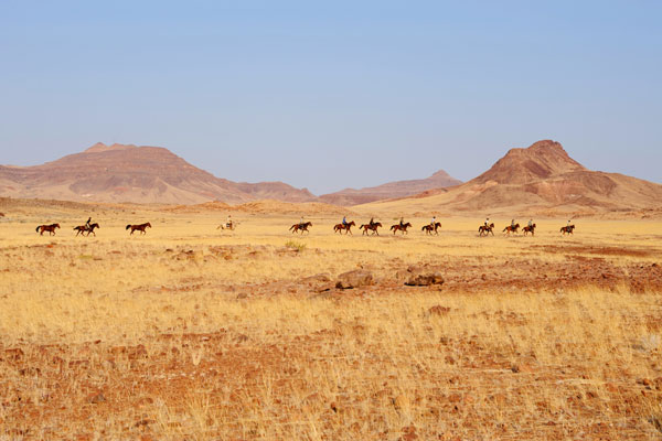 Damaraland Elephant Ride with Namibia Horse Safaris, wildlife enthusiast safaris