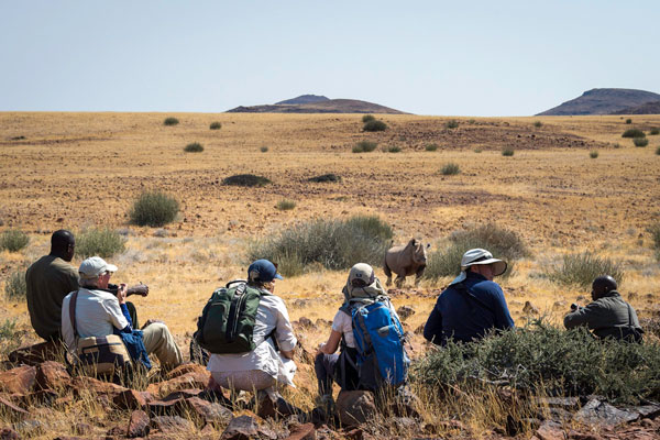 Desert Rhino Camp, black rhino tracking, Namibia wildlife enthusiast safaris