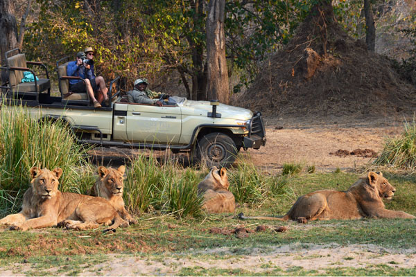 safari experts on private vehicles; Private vehicle at Sausage Tree Camp, Zambia