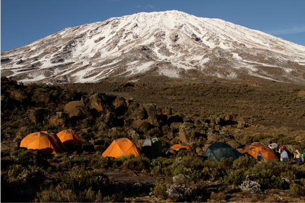 On the way up the mountain Lemosho route Mount Kilimanjaro