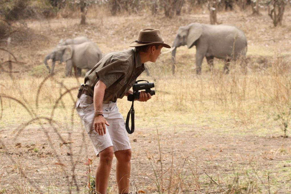 Deb Tittle tracking elephants with binoculars