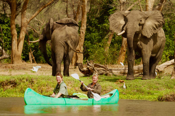 Elephants and canoeing Tusk and Mane Safaris new safari camp openings