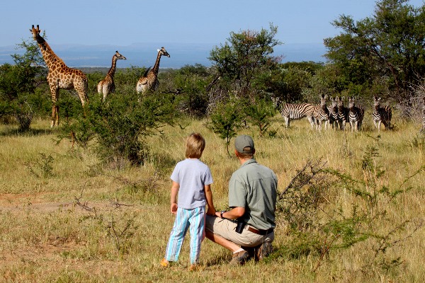 Malaria Free Bush and Beach - Ant's Hill family wildlife safari father and son watching giraffe and zebra
