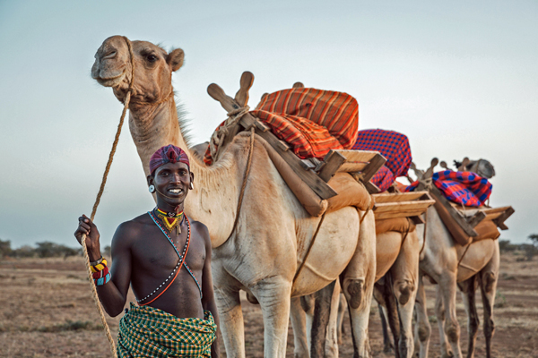 Ride a camel in Lakipia, northern Kenya, Ol Malo lodge based day rides