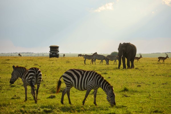 Classic Masai Mara scene on a game drive from Elephant Pepper Camp