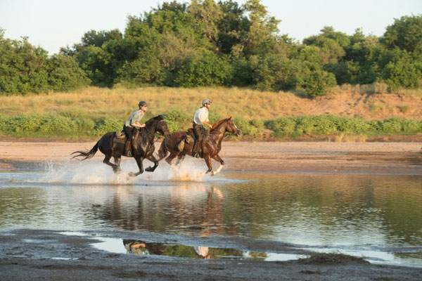 Riding with Limpopo Horse Safaris, Botswana