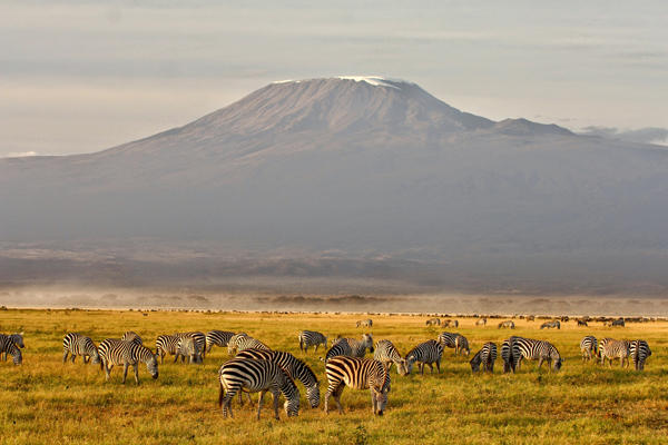 Mount Kilimanjaro towering over the plains