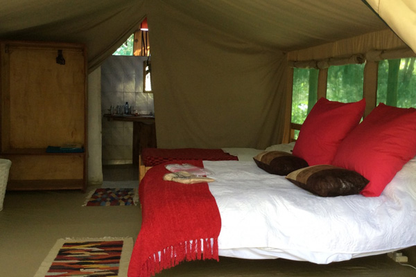 Tangulia Mara Camp tent bedroom
