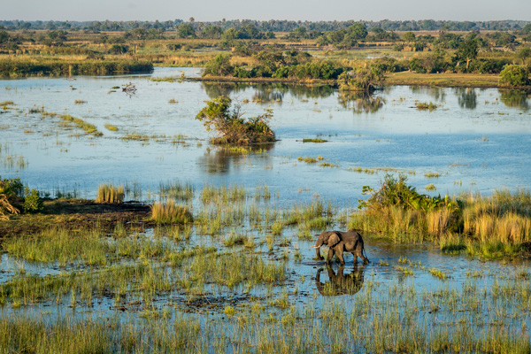 Okavango Delta from the air at Mombo Camp
