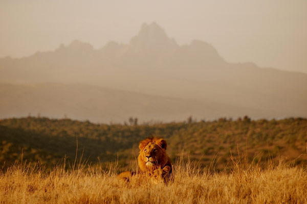 View of Mount Kenya from Borana Lodge