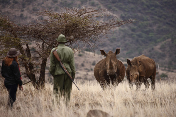 Out with the rangers at Lewa Wilderness