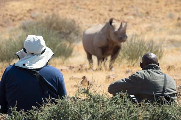 Tracking rhino at Desert Rhino Camp
