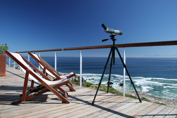 Enjoy wonderful land-based whale watching from Cliff Lodge