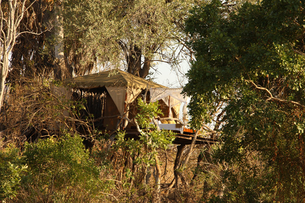 The treehouse at Beho Beho