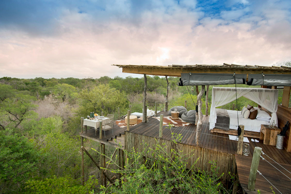 Kingston Treehous is a couple or a family's private vantage over the Sabi Sands