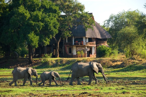 Luangwa Safari House setting 